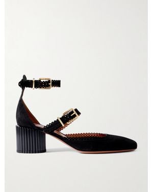 Zimmermann Eddie Scalloped Suede Mary Jane Pumps - Black