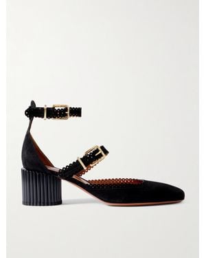 Zimmermann Eddie Scalloped Suede Mary Jane Court Shoes - Black