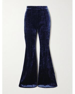 Alex Perry Stretch-Velvet Flared Pants - Blue
