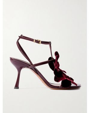 Zimmermann Orchid Appliquéd Velvet-Trimmed Glossed-Leather Sandals - Red