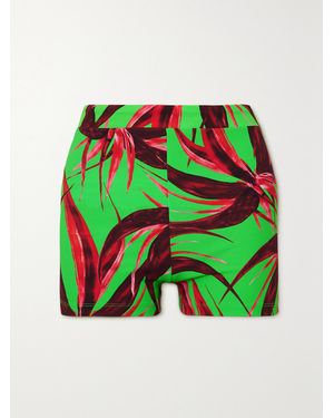 Louisa Ballou Floral-Print Ribbed Stretch-Jersey Shorts - Green