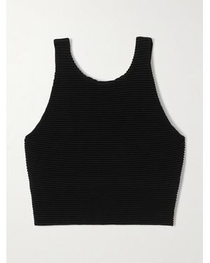 Aje. Agave Cropped Ribbed-Knit Top - Black