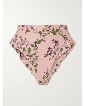 Agua Bendita Jengibre Wisteria Ruffled Embroidered Floral-Print Recycled Bikini Briefs - Pink