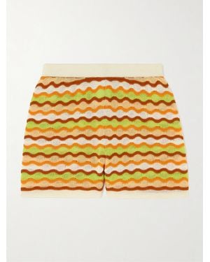Escvdo Mullu Striped Cotton Shorts - Metallic