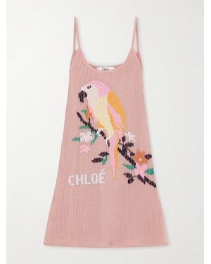 Chloé Embroidered Crocheted Cotton Mini Dress - Pink