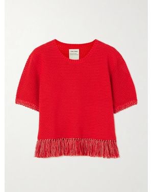 Escvdo Amada Cropped Fringed Crocheted Cotton Top - Red