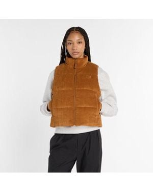 New Balance Wide Wale Corduroy Vest - Brown
