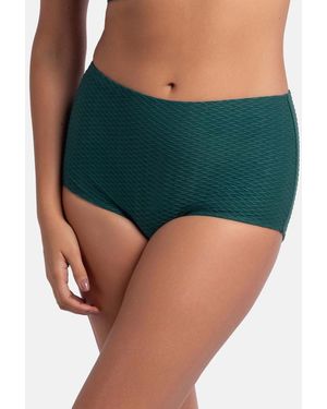 DORINA Textured Shaping Briefs New Look - Green
