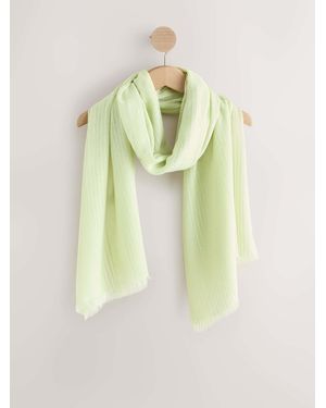 Next Sage Sparkle Lightweight Scarf - Green