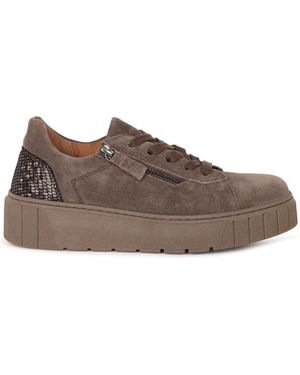 Gabor Ferry Suede Trainers - Brown