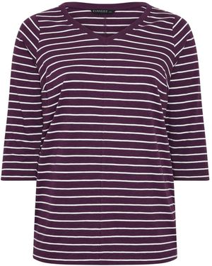 Evans Stripe Cotton T-Shirt - Purple