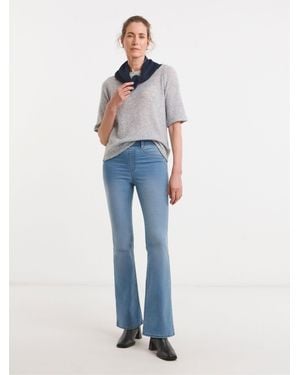 JD Williams Bootcut Legging - Blue