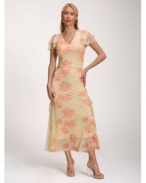 Jolie Moi Lace Insert Mesh Midi Dress - Natural