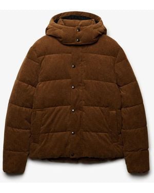 Superdry Premium Hood Cord Puffer Jacket - Brown