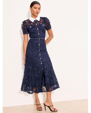 Lipsy Premium Lace Contrast Collar Fit And Flare Shirt Dress - Blue