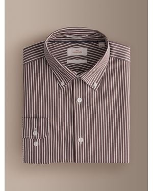 Next Signature Cotton With Tencel Lyocell Stripe Button Down Formal Shirt - Brown