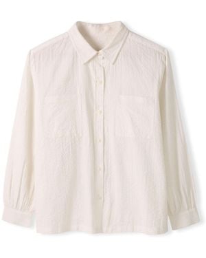 Celtic & Co. Side Split Cotton Shirt - Pink