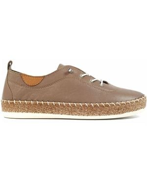 Lunar Evie Plimsoll Shoes - Brown