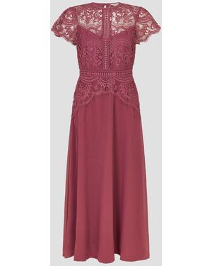 Monsoon Monica Lace Midi Dress - Pink