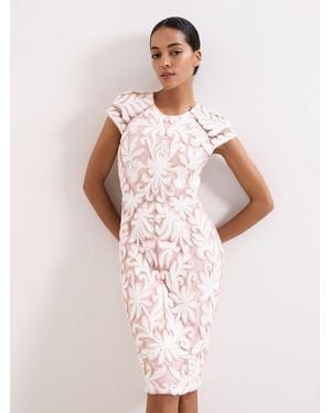 Phase Eight Karima Dress - Pink