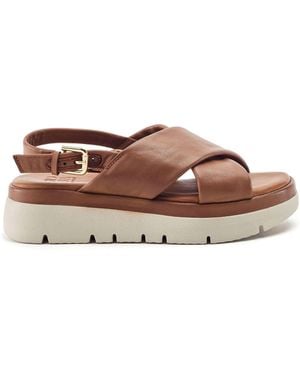 Moda In Pelle Moda - Brown