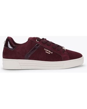 Carvela Kurt Geiger Daze Sneakers - Purple