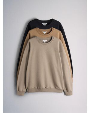 The Set 3 Pack Brushed Sweat Crew Sweaters/Taupe/Cream - Natural