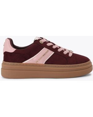 KG by Kurt Geiger Leap Sneakers - Brown