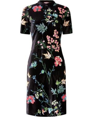 Joe Browns Boutique Velour Floral Sequin Dress - Black