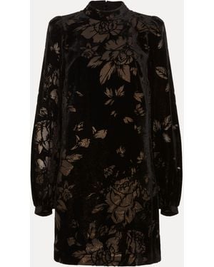 Phase Eight Reanna Shift Velvet Dress - Black