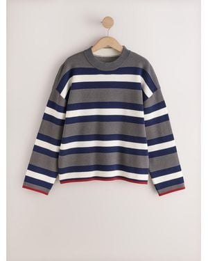 Next Striped Knit Look Crew Neck Sweater - Blue
