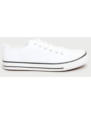 Long Tall Sally Canvas Low Sneakers - Blue