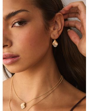 Next Organic Shape Pave Sparkle Earrings - Brown
