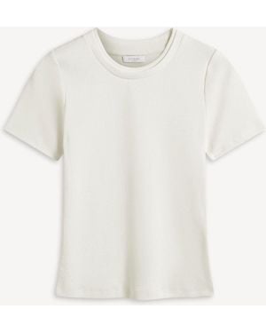 Hobbs Kali Ribbed Top - White