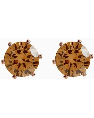 Next Cubic Zirconia Large Stud Earrings - Brown