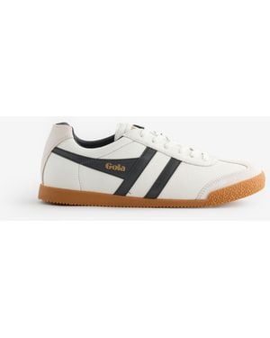 Gola Harrier Trainers - White