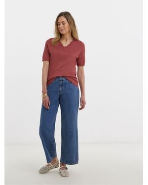 JD Williams Scallop Hem Short Sleeve Sweater - Blue