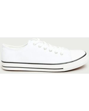 Long Tall Sally Canvas Low Sneakers - White