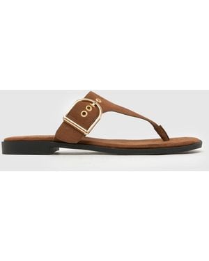 schuh Teena Flat Toe Post Sandals - Brown