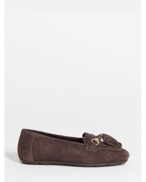 JD Williams Wide Fit Tassle Detail Flat Loafers - Brown