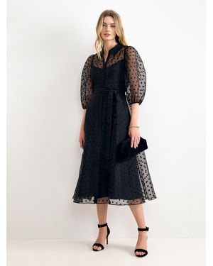 Phase Eight Agatha Shirt Dress - Blue
