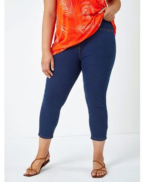 Roman Cropped Stretch Denim Jeggings - Blue