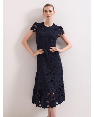 Phase Eight Leilani Lace Dress - Blue