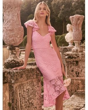 Lipsy Petite Lace Flutter Sleeve Bodycon Midi Dress - Pink