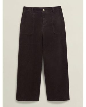 Hobbs Kendall Pants - Black