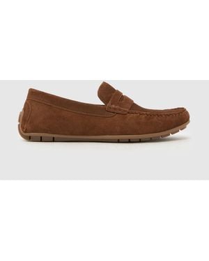 schuh Rust Suede Driver Shoes - Brown