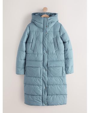 Next Next Blue Gingham