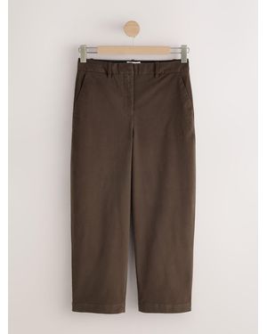 Next Chocolate N. Premium Chinos Barrel Pants - Brown