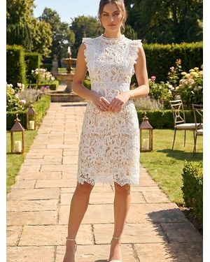 Roman Petite Frill Lace Detail Dress - Yellow