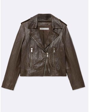 AllSaints Allsaints Errie Biker Jacket - Brown